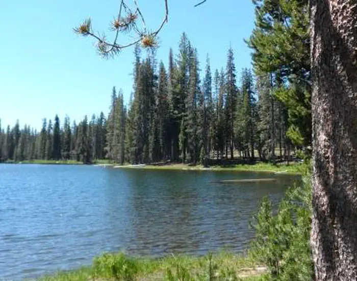 Summit Lake South — Summit Lake area
