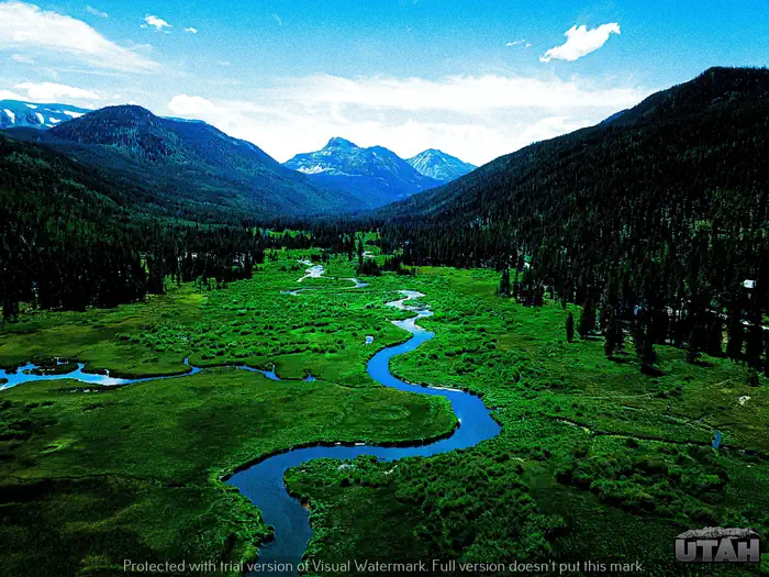 Christmas Meadows Campground — Christmas Meadows Campground