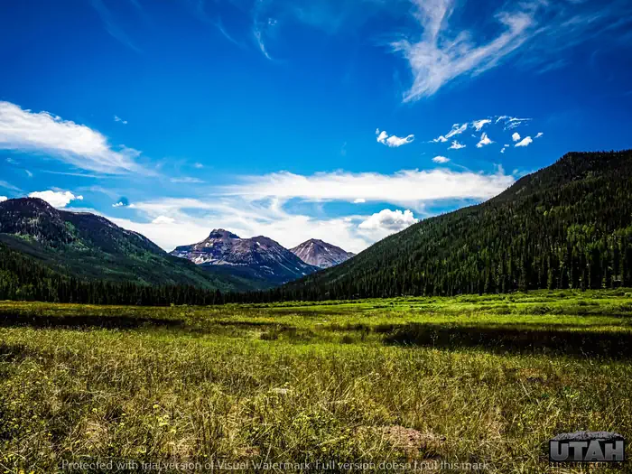 Christmas Meadows Campground — Christmas Meadows Campground
