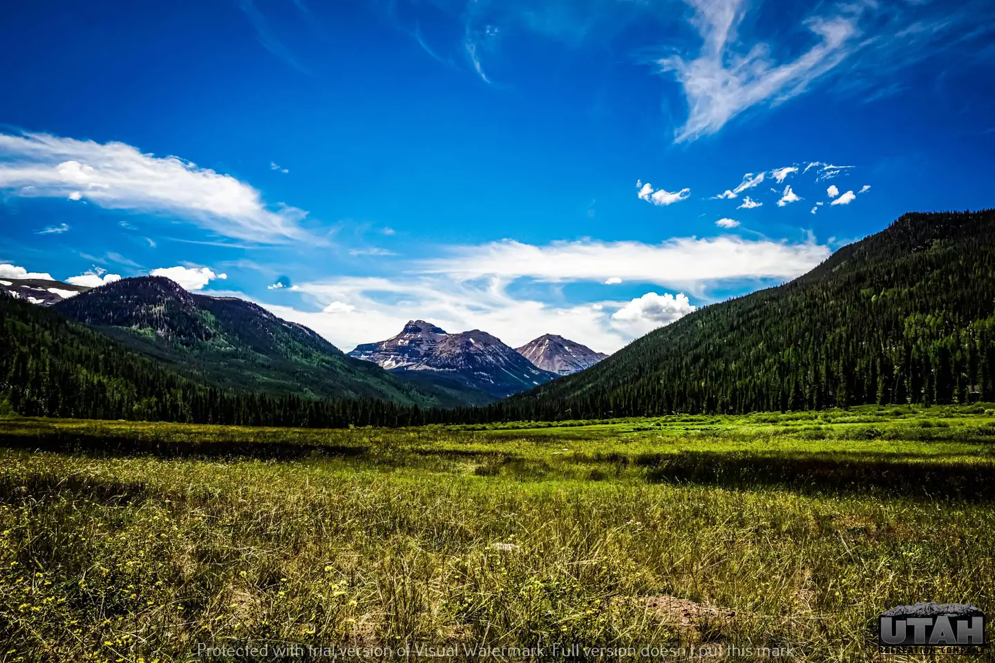 Christmas Meadows Campground — Christmas Meadows Campground 2