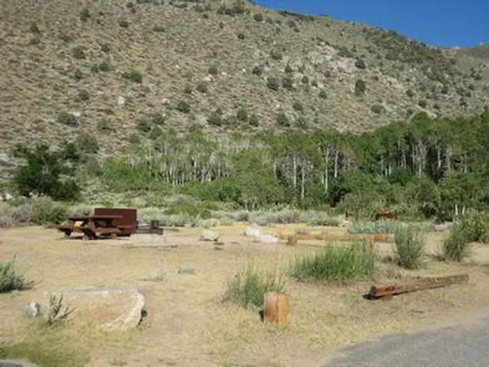 Four Jeffrey Campground — A campsite with a picnic table and bear box in a desert campground