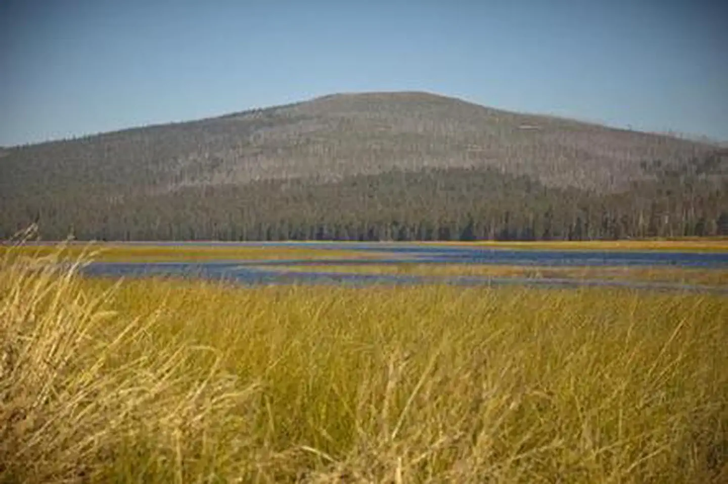 East Davis Campground — EAST DAVIS CAMPGROUND