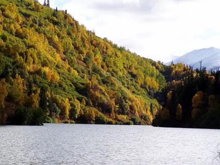 West Swan Lake Cabin — WEST SWAN LAKE CABIN