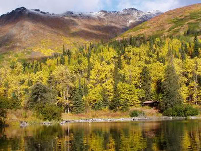West Swan Lake Cabin — WEST SWAN LAKE CABIN2