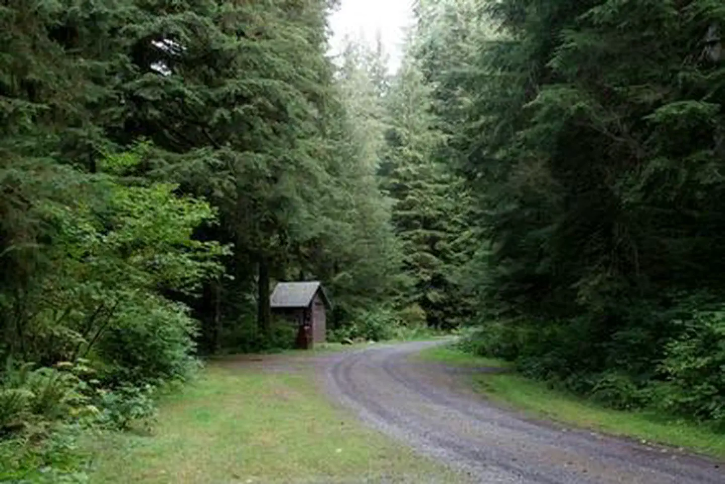 Wiley Creek Group Camp — Wiley Creek Group Camp
