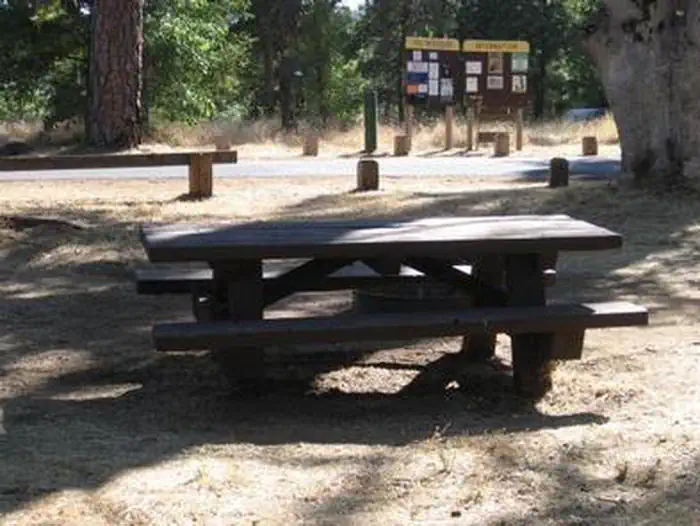 Pines Group Stanislaus — PINES GROUP STANISLAUS