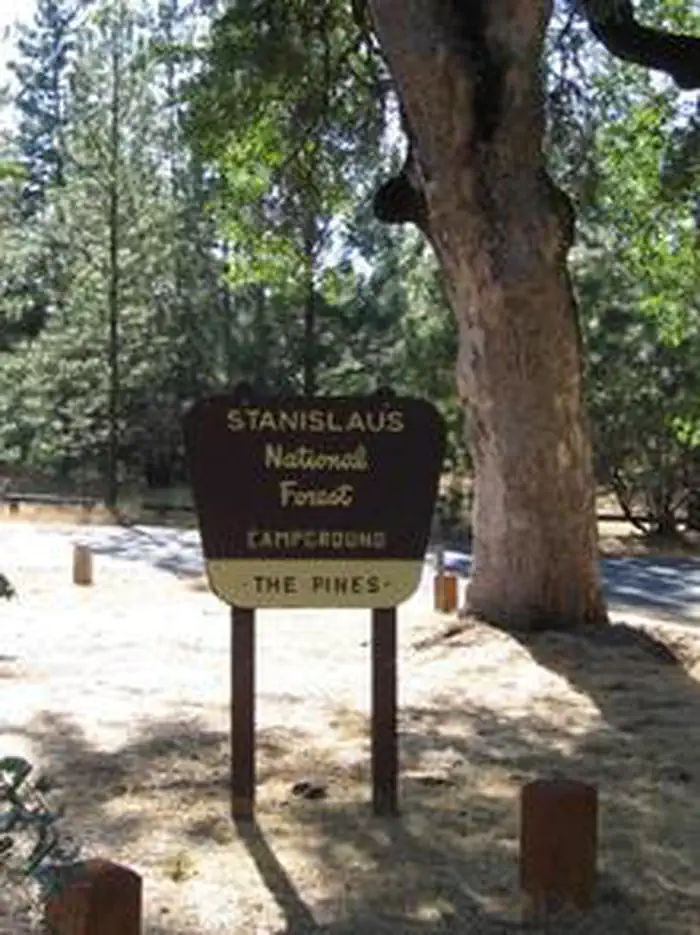Pines Group Stanislaus — PINES GROUP STANISLAUS