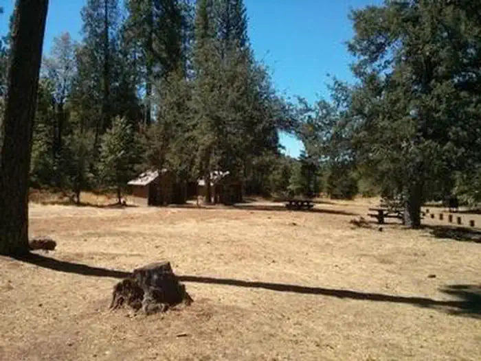 Pines Group Stanislaus — PINES GROUP STANISLAUS