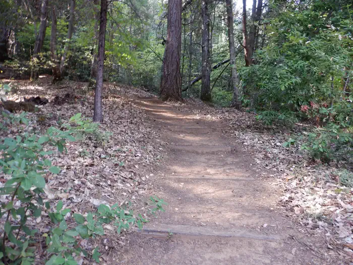 Madrone Cove Boat-in Campground — Path to Campsite 2