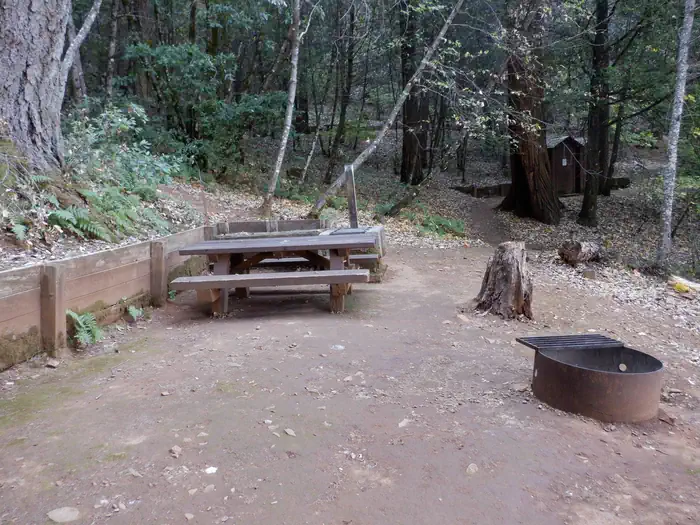 Madrone Cove Boat-in Campground — Campsite 8