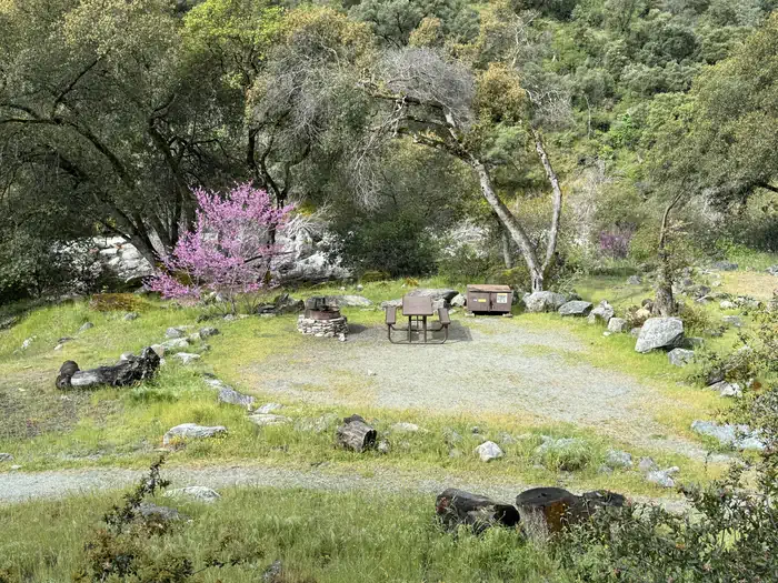 McCabe Flat Campground — McCabe Flat Site #2