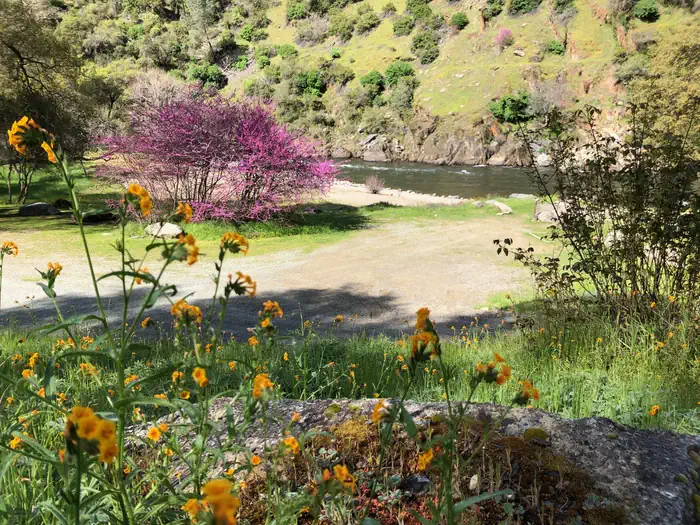 McCabe Flat Campground — McCabe Flat Campground—Spring time