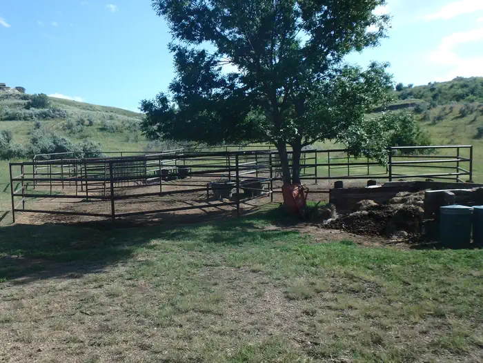 Roundup Group Horse Camp — The four rectangular corrals at the site