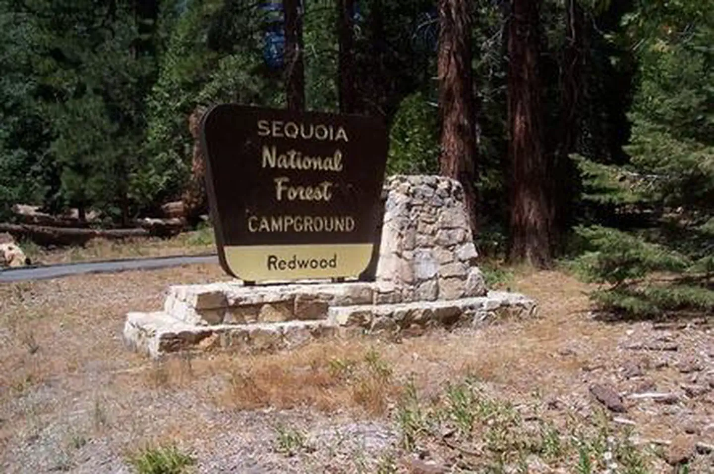 Redwood Meadow — REDWOOD MEADOW