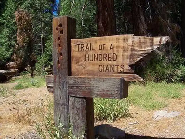 Redwood Meadow — Redwood Meadow