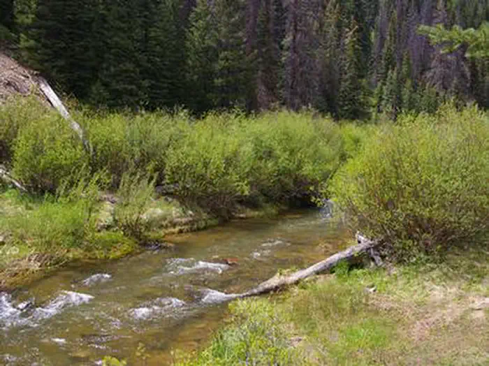 Chute Group — Huntington Creek