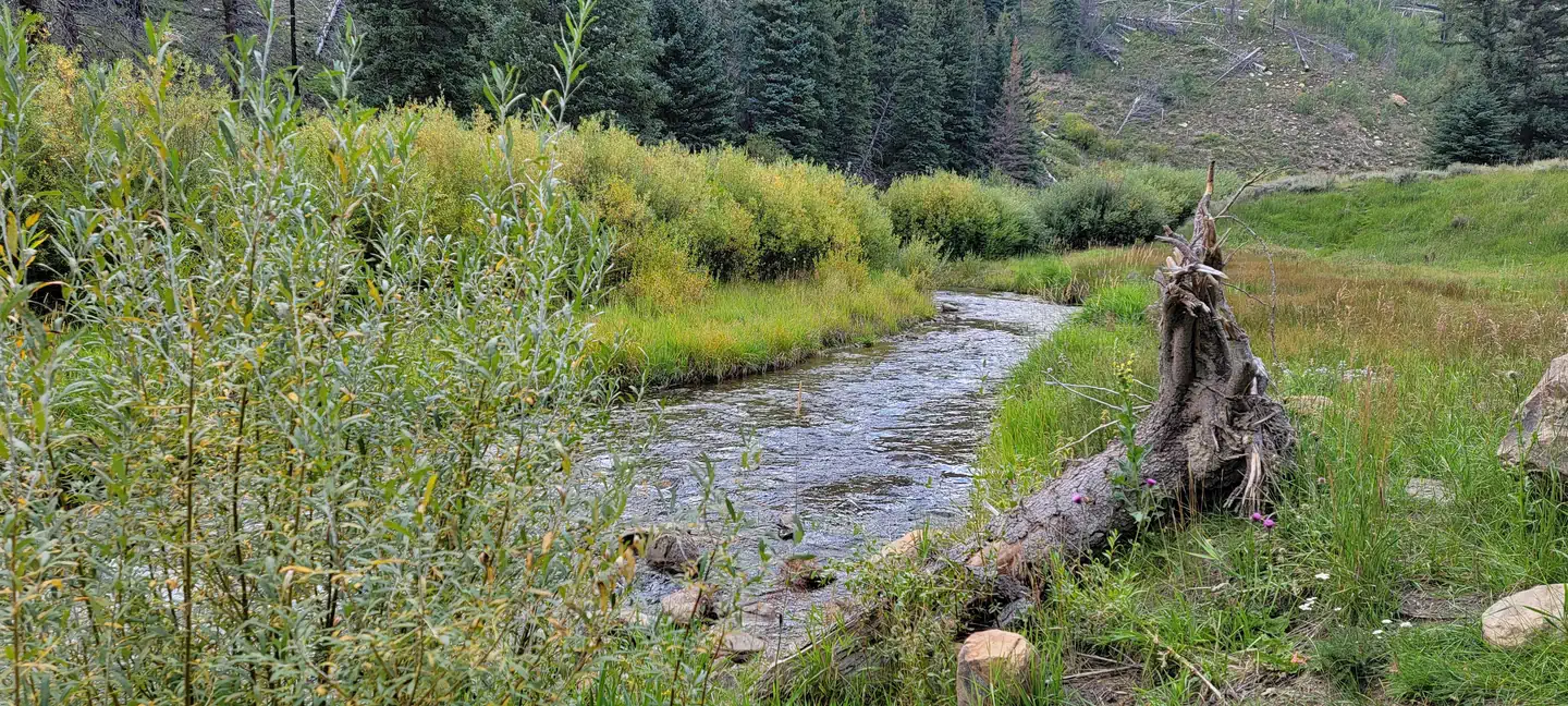 Chute Group — Huntington Creek 1