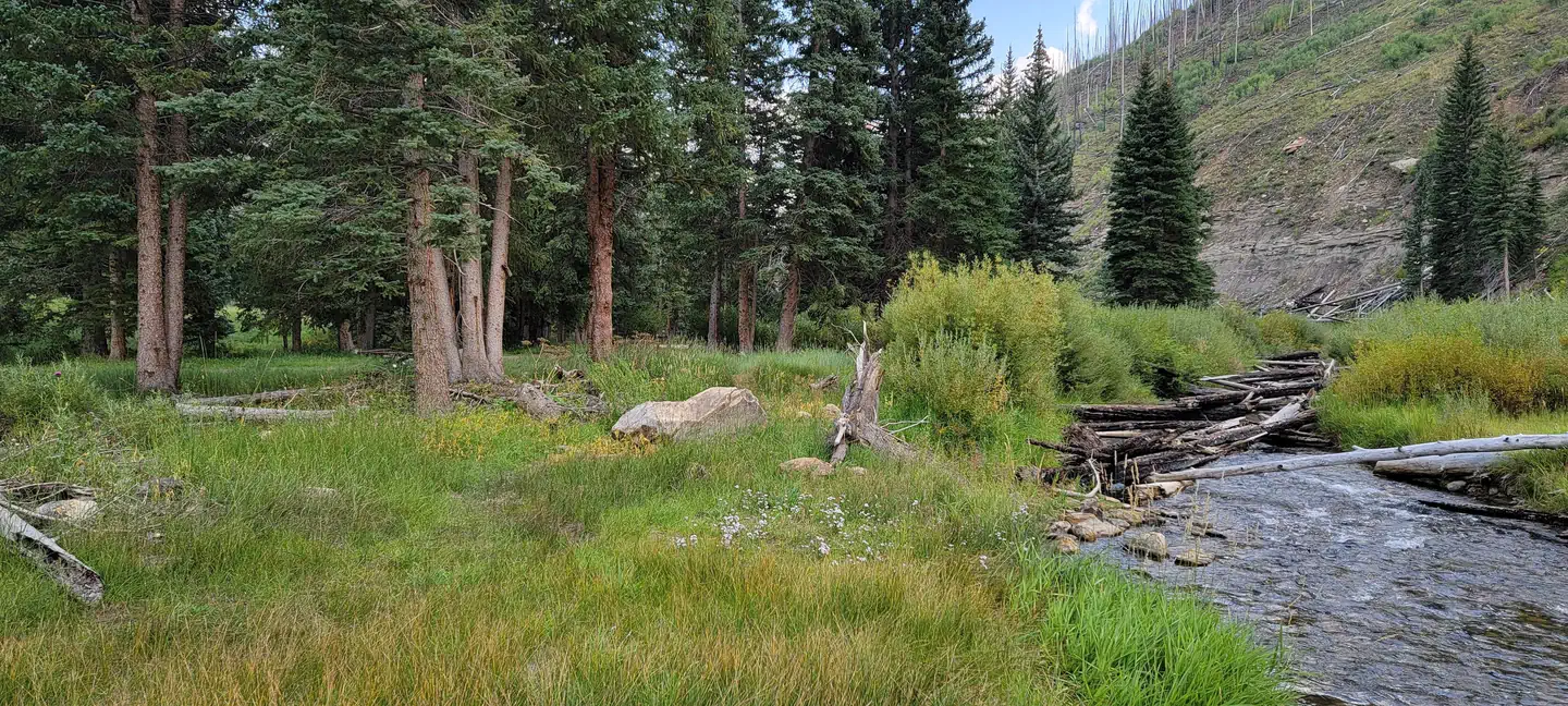 Chute Group — Huntington Creek2