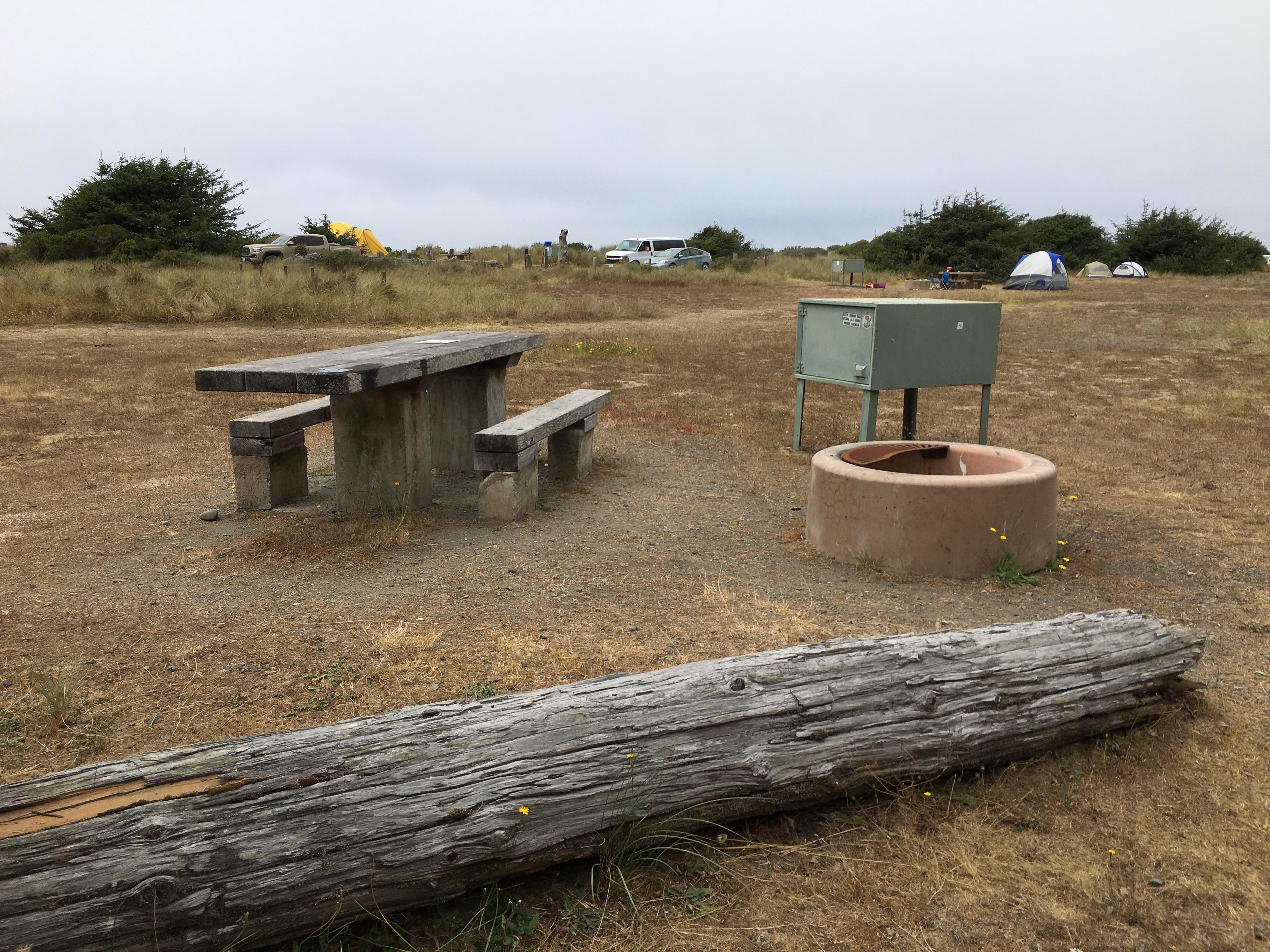 Gold Bluffs Beach Campground – Prairie Creek Redwoods State Park — Campsite