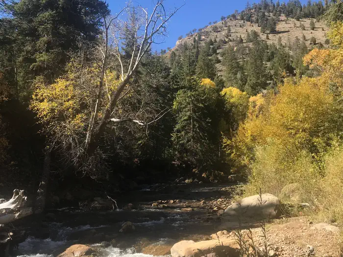 Little Bear Group — Little Bear Group Campground