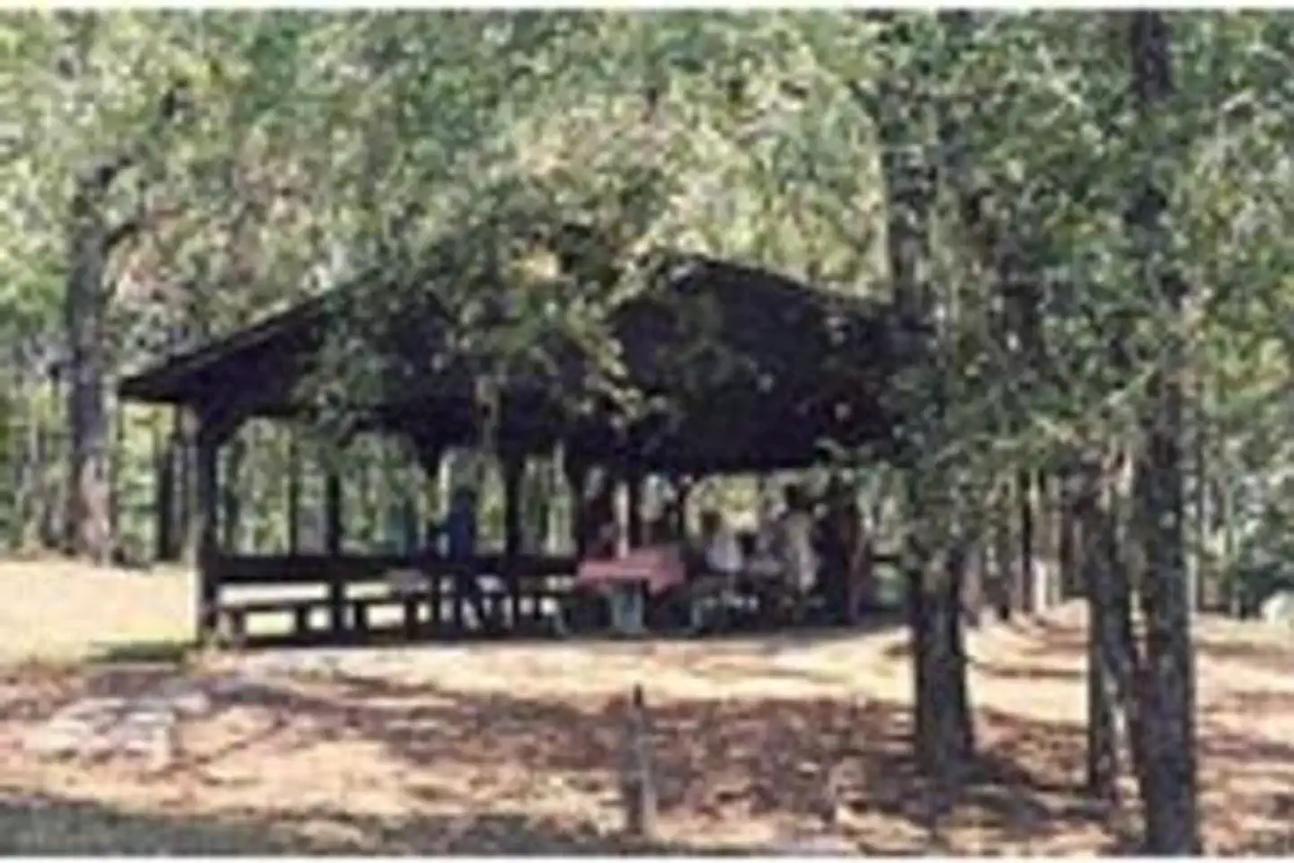 Turkey Creek — TURKEY CREEK