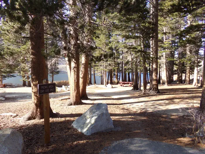 East Fork Campground – Inyo National Forest (ca)