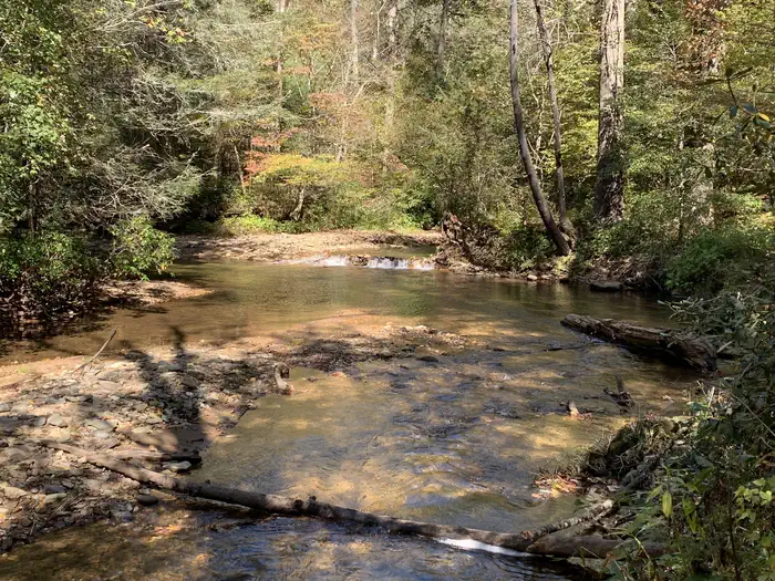 Cooper Creek — Fishing Area near the Cooper Creek Loop