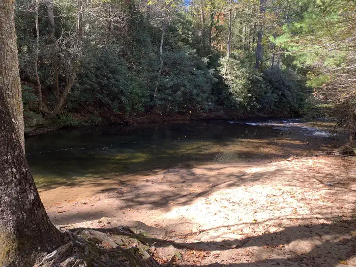 Cooper Creek — Fishing Hole Across from Mulky Loop