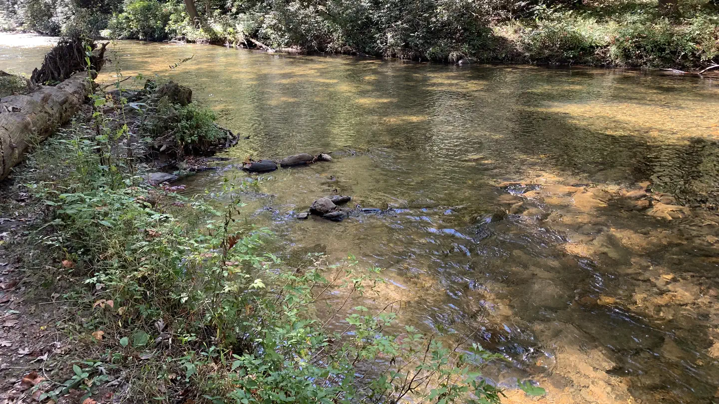 Cooper Creek