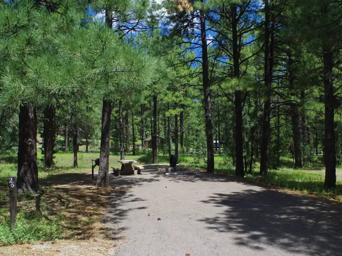 Potato Patch Campground — Potato Patch A26 tucked in the pines with dappled shade.