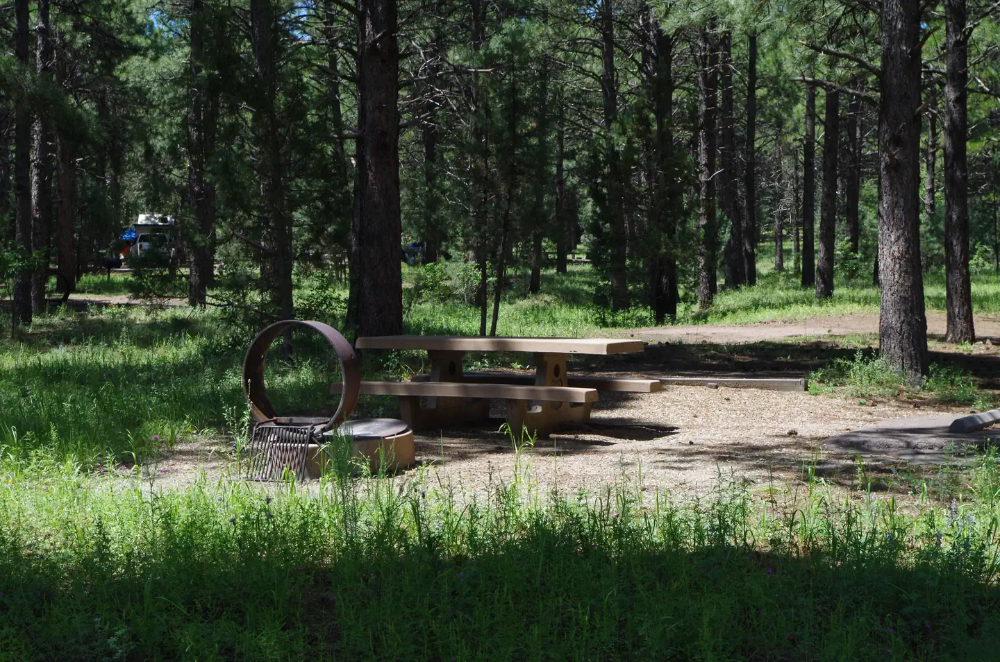 Potato Patch Campground — Potato Patch A15 tucked in the Ponderosa Pines