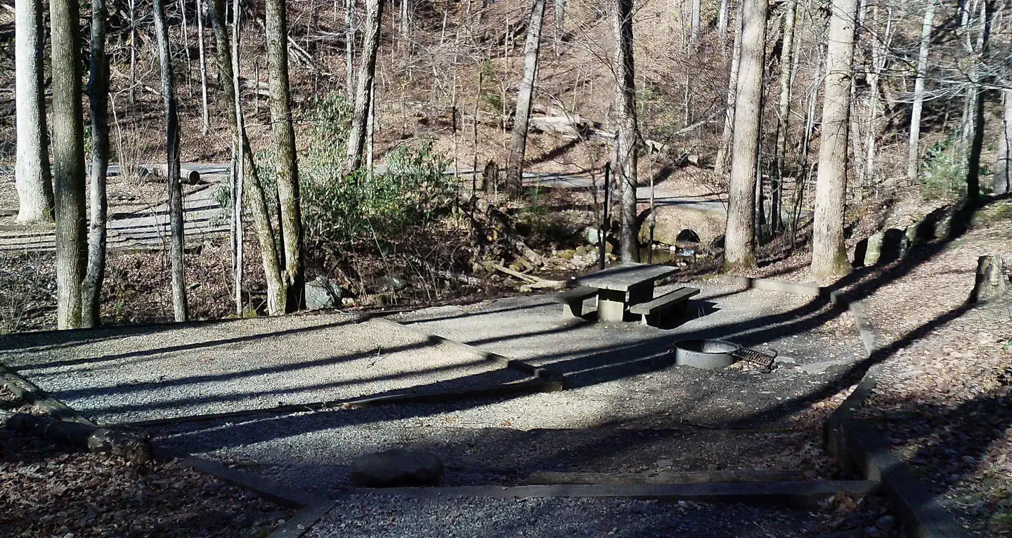 Andrews Cove — Campsite 8