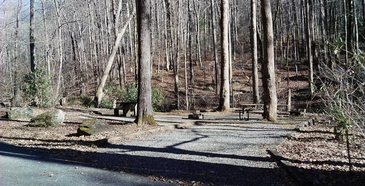 Andrews Cove — Campsite 9