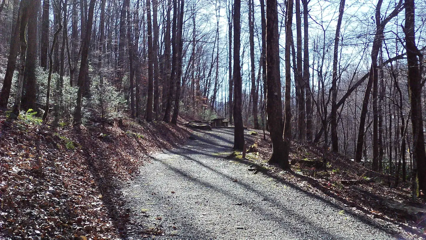 Andrews Cove — Long driveway