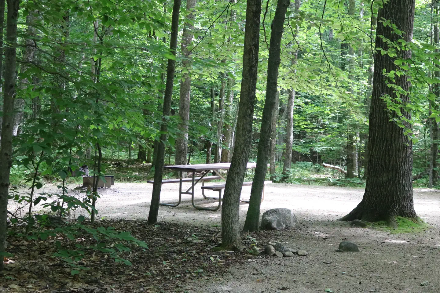 Covered Bridge — Covered Bridge CG