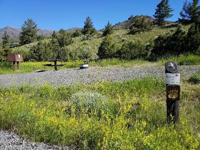 Rex Hale Campground — Rex Hale Campground campsite open area