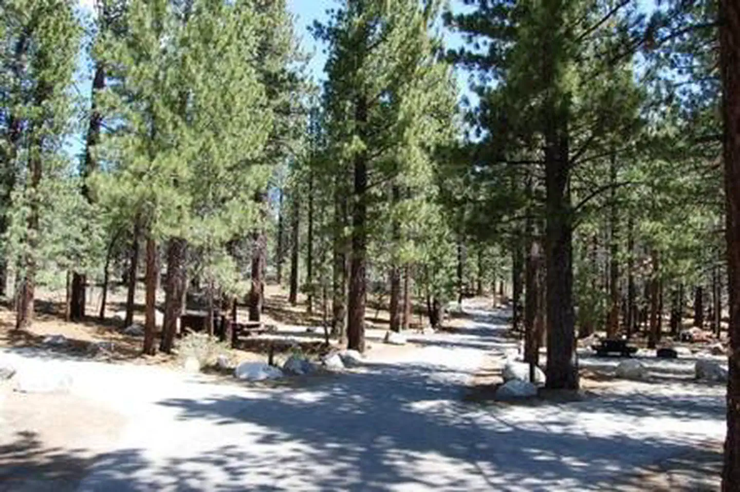New Shady Rest Campground — NEW SHADY REST CAMPGROUND