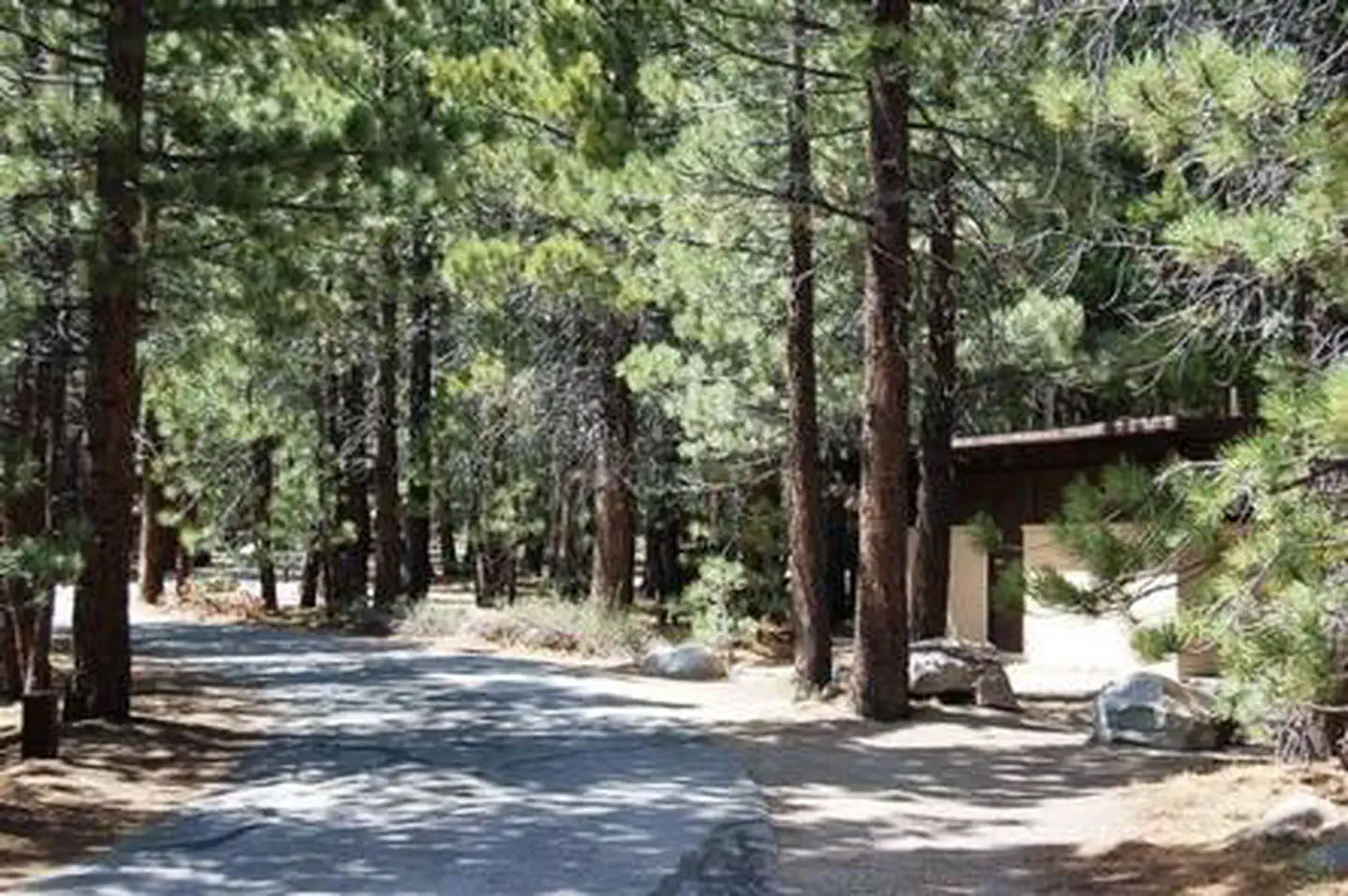 New Shady Rest Campground — NEW SHADY REST CAMPGROUND