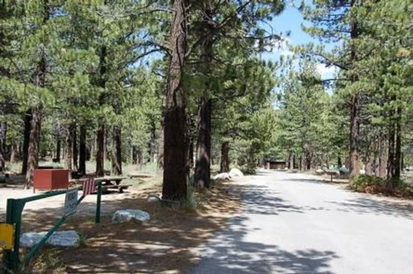 New Shady Rest Campground — NEW SHADY REST CAMPGROUND