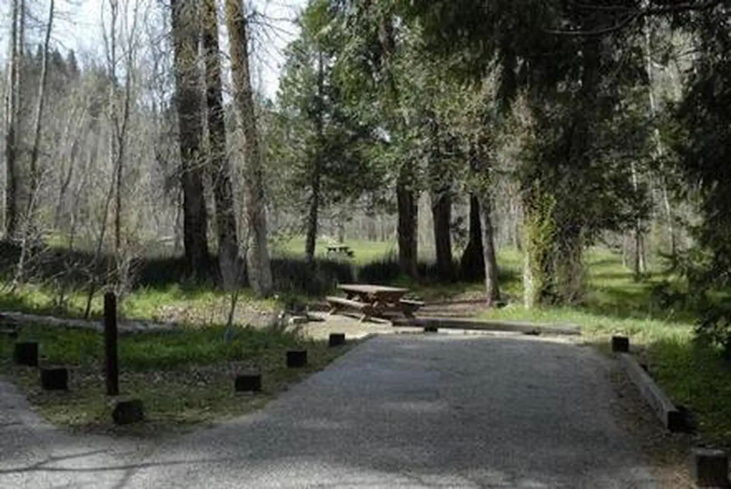 Summerdale Campground — SUMMERDALE CAMPGROUND
