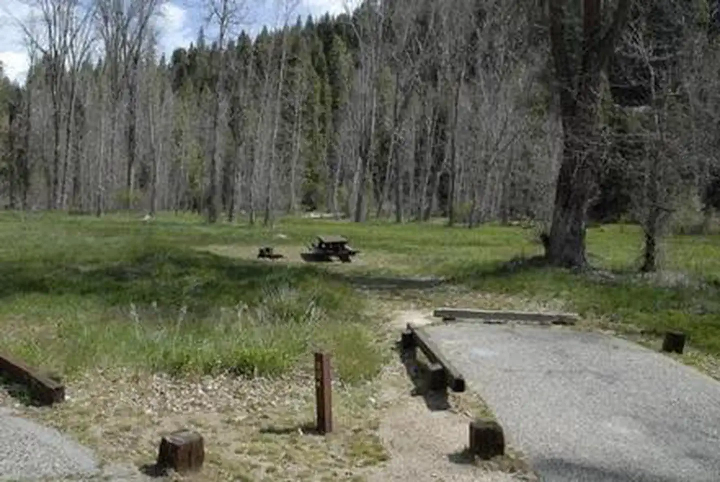 Summerdale Campground — SUMMERDALE CAMPGROUND