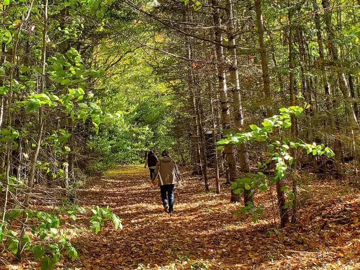 Mckeever Cabin — McKeever Hiking Trail