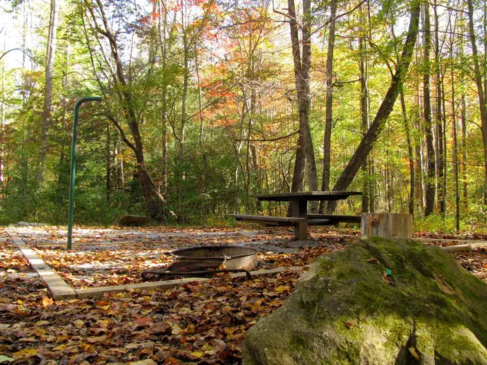 Jacks River Fields Campground — Campsite at Jacks River Fields