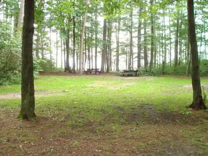Winnie Campground