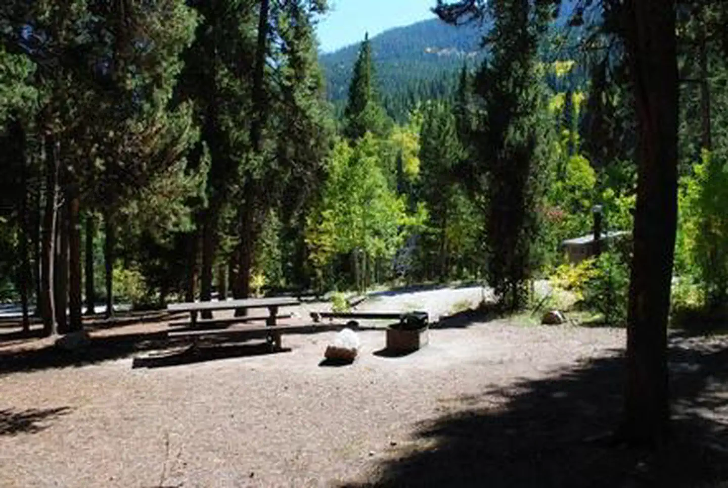 Collegiate Peaks — Campsite surrounded by trees