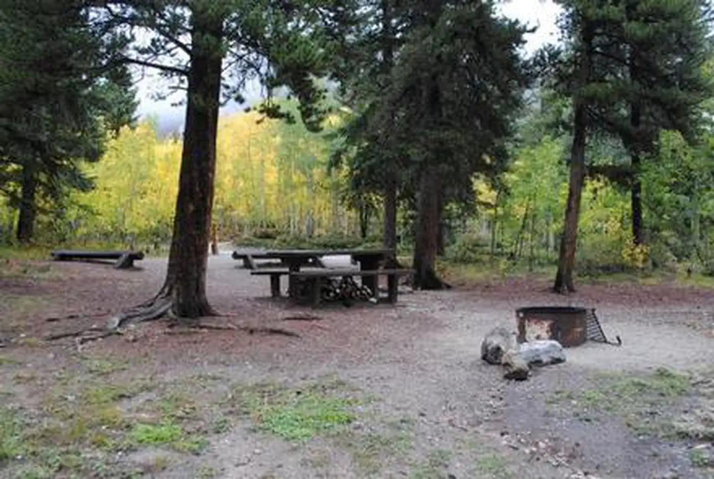 Collegiate Peaks — Shaded campsite with picnic table and fire pit