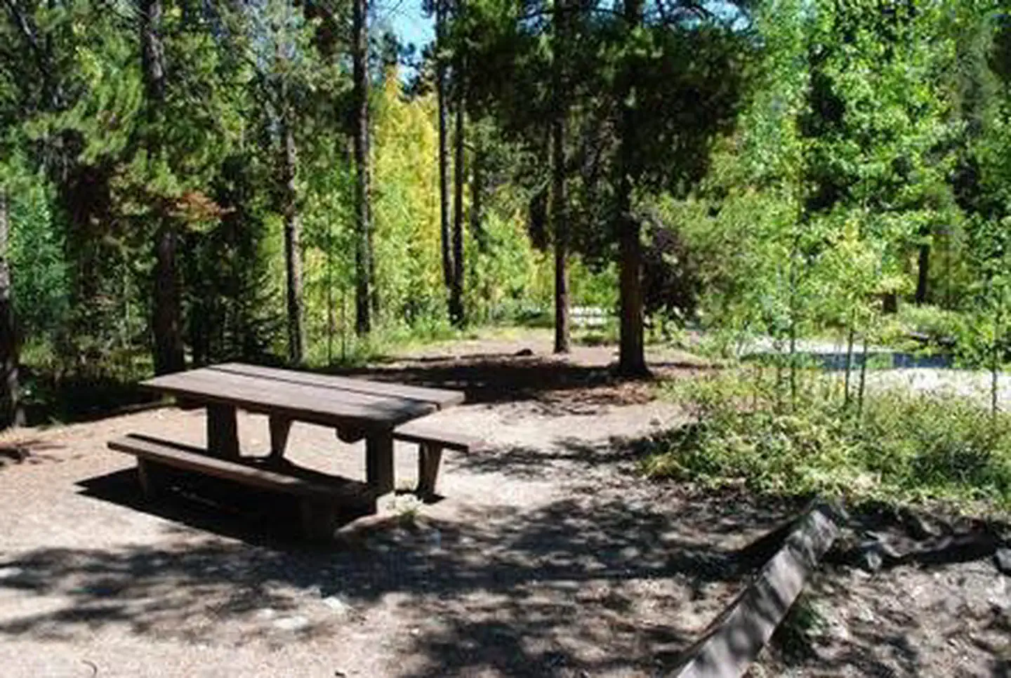 Collegiate Peaks — Campsite with shade and picnic table