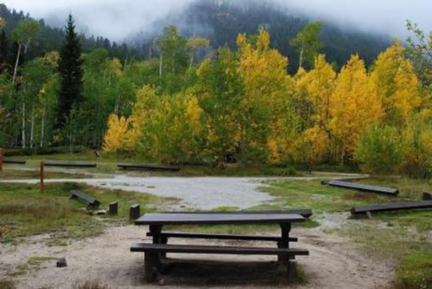 Collegiate Peaks — Campsite with view of aspen trees with fall foliege