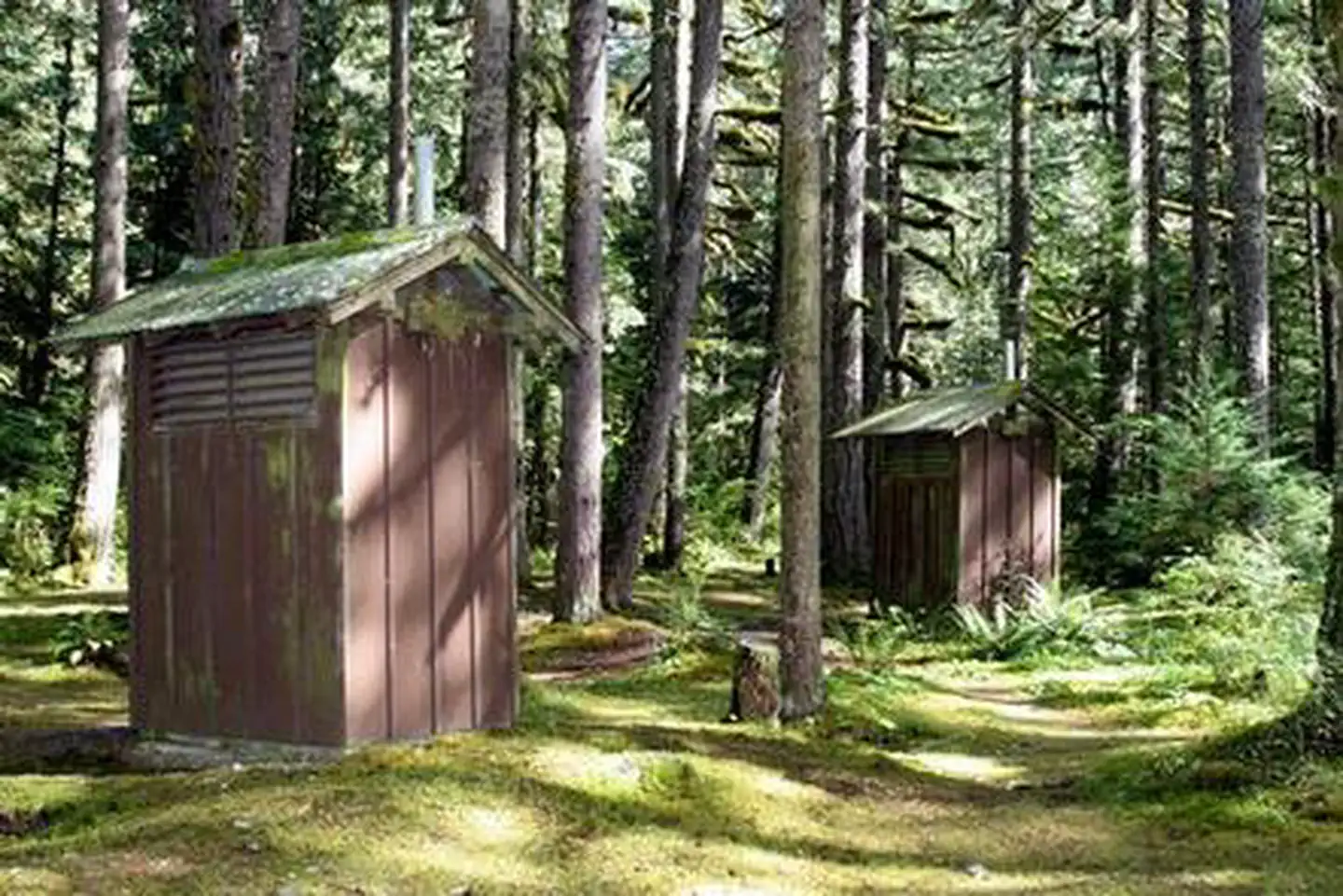 Excelsior Group Camp — Excelsior Group Camp