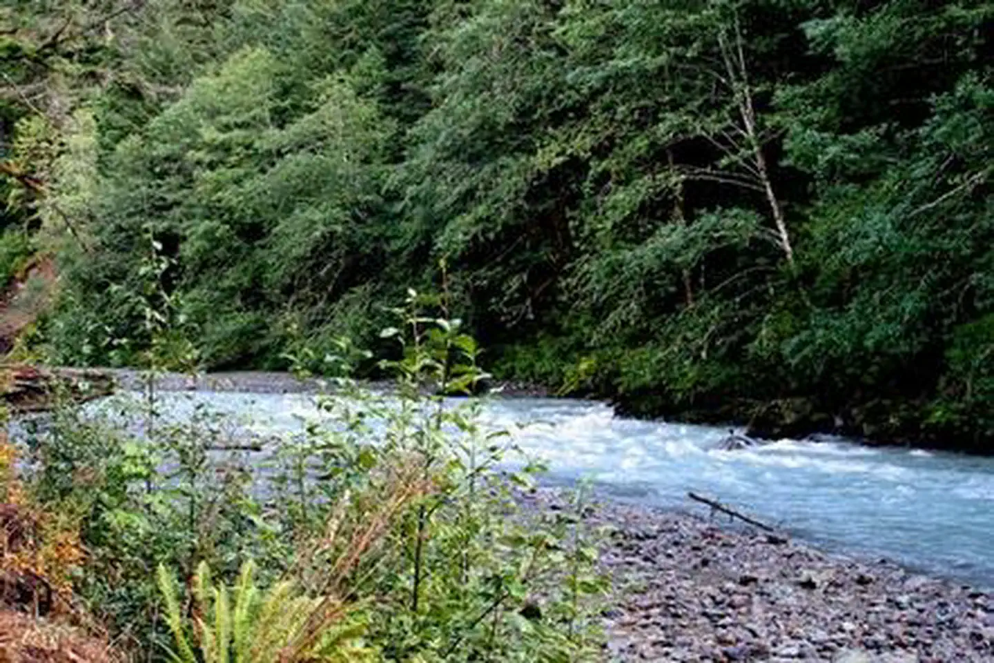 Excelsior Group Camp — Excelsior Group Camp